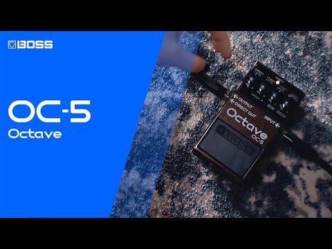Boss OC-5 Octave Pedal – Vintage King
