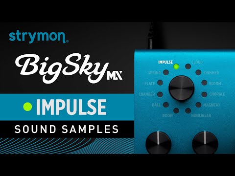 Strymon BigSky MX | Sound Samples | Impulse Responses