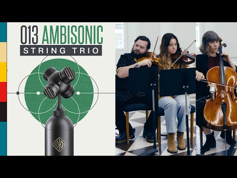 Soyuz 013 Ambisonic FET Condenser Microphone