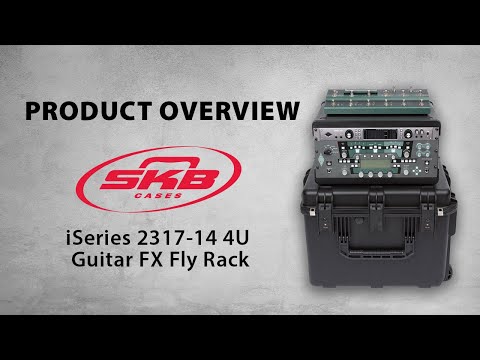 SKB GFX Case