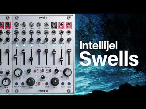 Intellijel Swells Multi-Model Dynamic Stereo Reverb Module