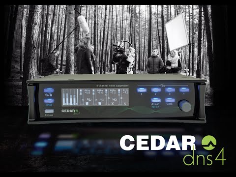 Cedar DNS 4 Dialogue Noise Suppressor