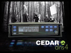 Cedar DNS 4 Dialogue Noise Suppressor