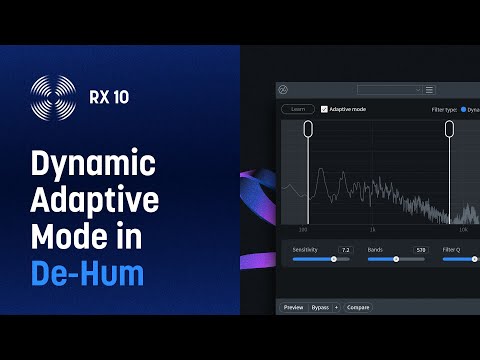 iZotope RX 10 Advanced Audio Repair Tool - Electronic Delivery Video 2