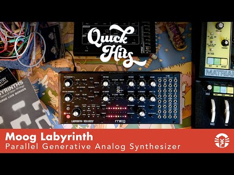 Moog Music Labyrinth Parallel Generative Analog Synthesizer