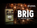 Strymon Brig Multi-Voiced dBucket Delay Pedal