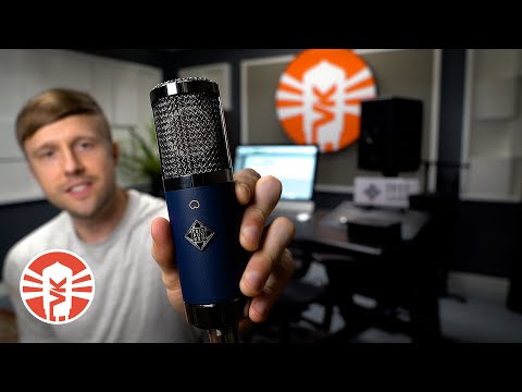 Telefunken Elektroakustik TF11 FET Condenser Microphone
