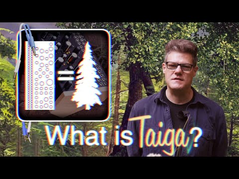 The Story of Taiga