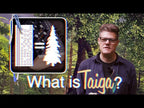 The Story of Taiga