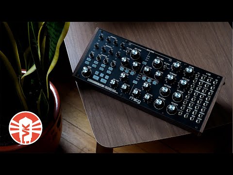 Moog Subharmonicon Semi-Modular Polyrhythmic Analog Synthesizer