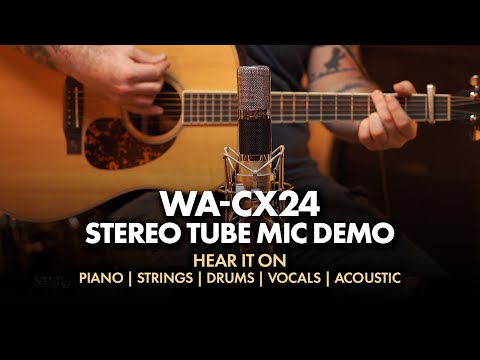 Warm Audio WA-CX24 Stereo Tube Condenser Microphone (Demo Deal)