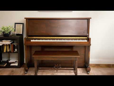 Boz Digital All Pro Pianos Bundle - Electronic Delivery Video 2