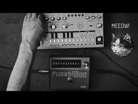 303 (TD-3) + the FuzzBillion - TECHNO TALKTHROUGH!