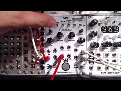 4ms Tapographic Delay Module