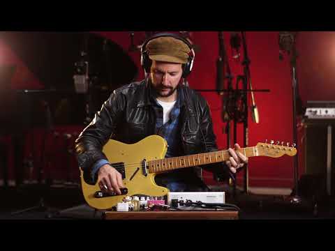 The Amp by Milkman Sound - The Full Story