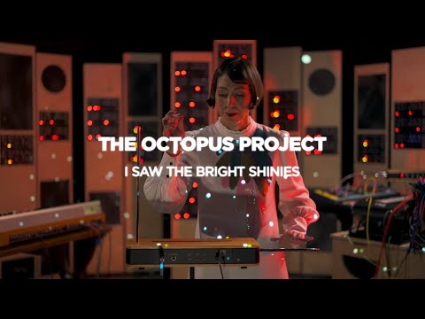 Moog Etherwave Theremin