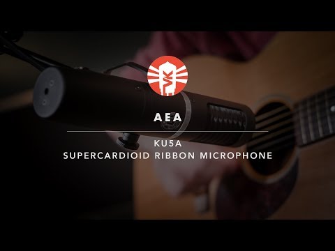 AEA KU5A Supercardioid Ribbon Microphone