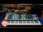 Moog Matriarch Dark Semi-Modular Analog Synthesizer and Step Sequencer