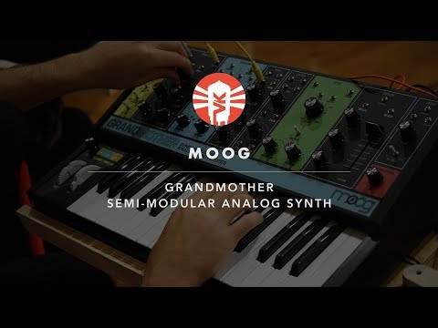 Moog Grandmother Dark Semi-Modular Analog Synthesizer and Step Sequencer