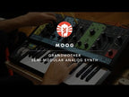 Moog Grandmother Dark Semi-Modular Analog Synthesizer and Step Sequencer