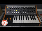 Moog Subsequent 25 Compact Duophonic Analog Synthesizer