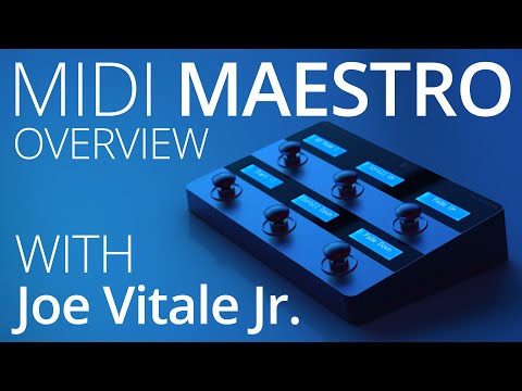 Singular Sound MIDI Maestro Next-Gen MIDI Foot Controller