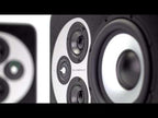 Barefoot Sound MicroMain45