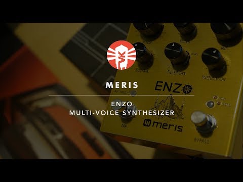 Meris Enzo Multi-Voice Synthesizer Pedal