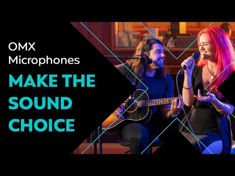 Audix OMX-E Dynamic Vocal Microphone