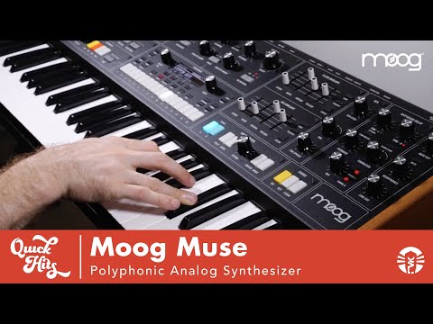 Moog Music Muse 8-Voice Analog Bi-Timbral Polyphonic Synthesizer