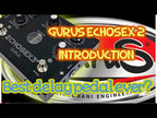 Gurus Echosex 2 Tube Echo