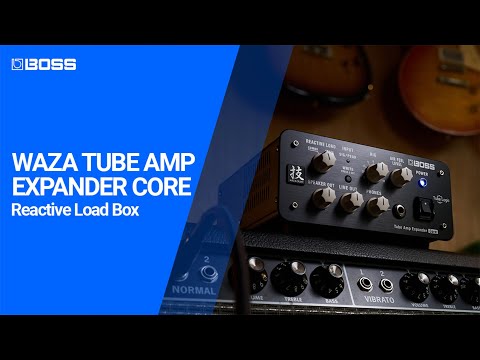 Boss WAZA Tube Amp Expander Core (Demo Deal)