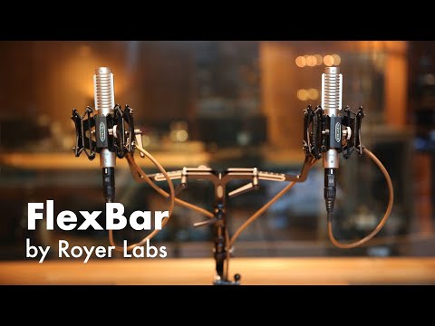 Royer Labs FlexBar Dual-Microphone Mounting Bar