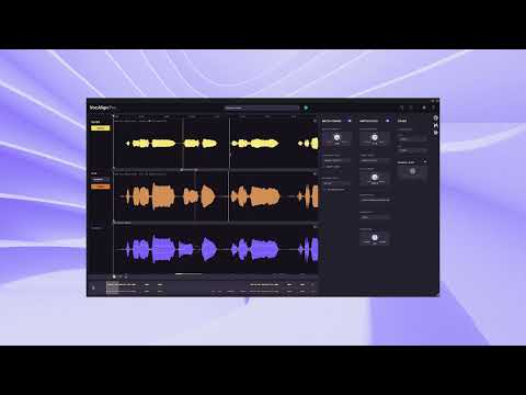 SynchroArts VocAlign 6 Standard Upgrade from VocAlign Project 5, VocAlign Project 3 - Electronic Delivery