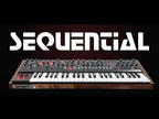 Sequential Prophet-6 6-Voice Analog Synthesizer
