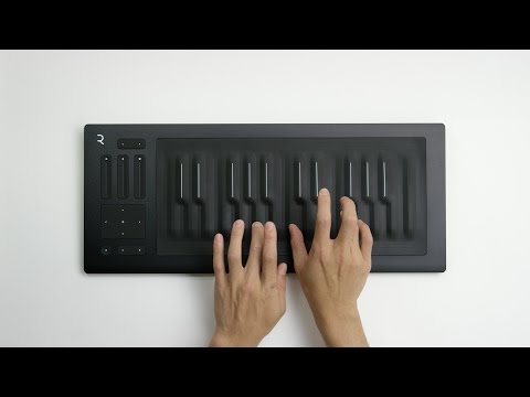 【超希少】ROLI Seaboard RISE 25 MIDIキーボード ROLI Seaboard RISE 25 25-note Keywave USB / wireless MIDI