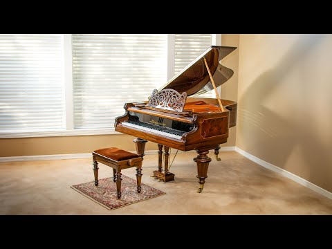 Boz Digital All Pro Pianos Bundle - Electronic Delivery