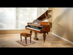 Boz Digital All Pro Pianos Bundle - Electronic Delivery