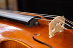 REMIC VA7000 RESHAPE Mount for Viola
