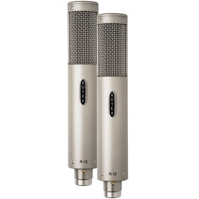 Royer Labs R-12 Active Ribbon Microphone - Matched Pair