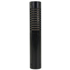 Royer Labs SF-1 Ribbon Microphone #191 (Used)
