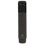 Sennheiser MKH800 TWIN Studio Condenser Microphone #10103 (Used)