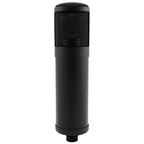 Slate Digital ML-1 Large Diaphragm Modeling Microphone - Matte Black