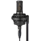 Sony C-100 Hi-Res Condenser Microphone