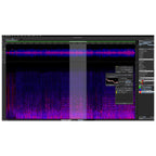Steinberg SpectraLayers Pro 13 Audio Restoration Software - Electronic Delivery