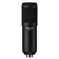 Tascam TM-70 Dynamic Broadcast Microphone