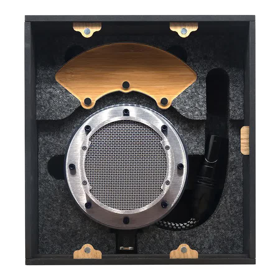 Tierra Audio New Twenties Condenser Microphone