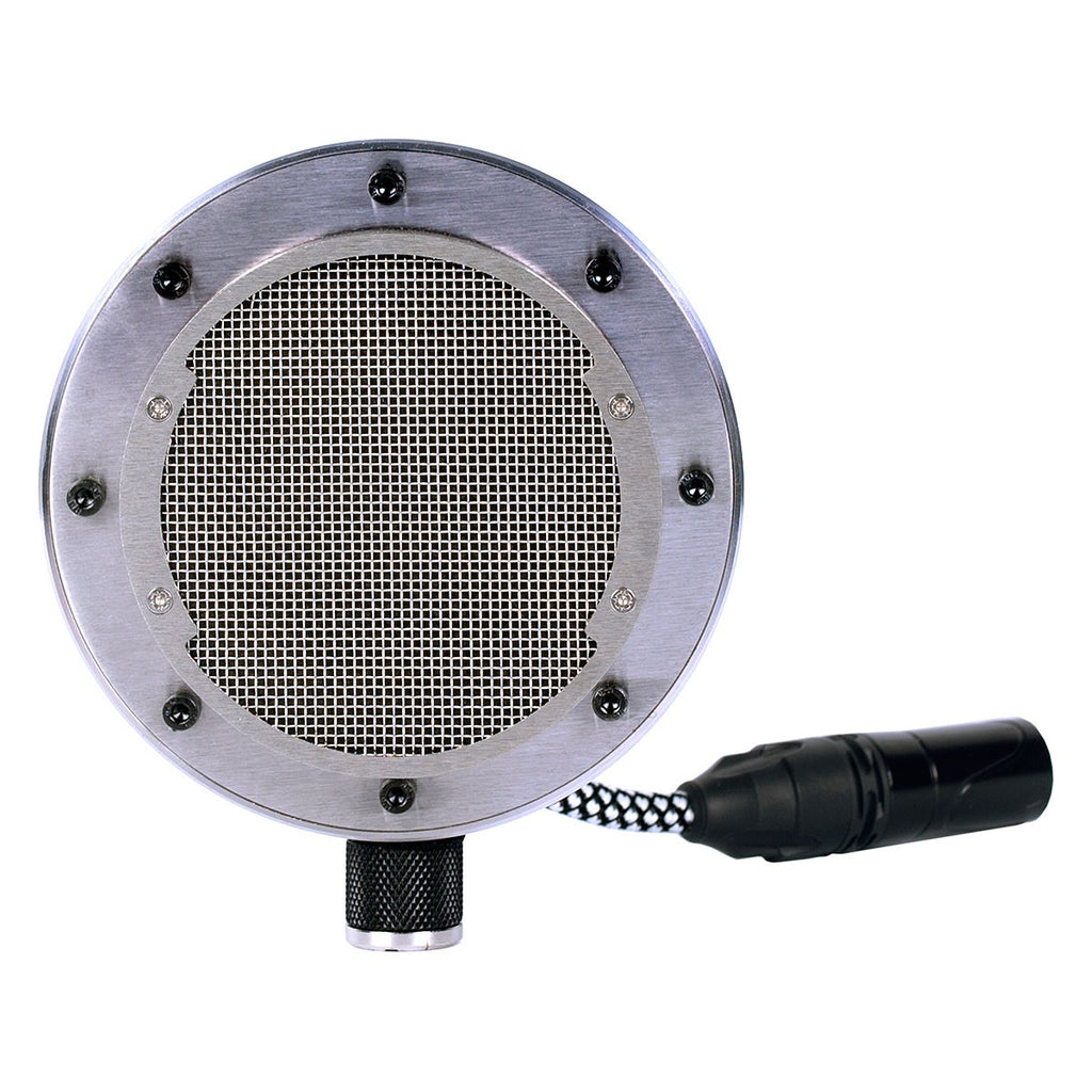 Tierra Audio New Twenties Condenser Microphone