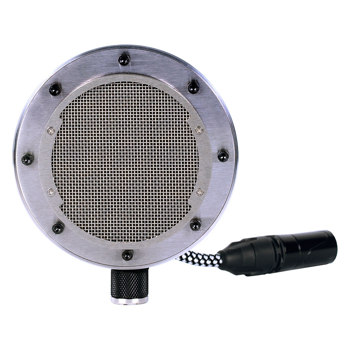 Tierra Audio New Twenties Condenser Microphone