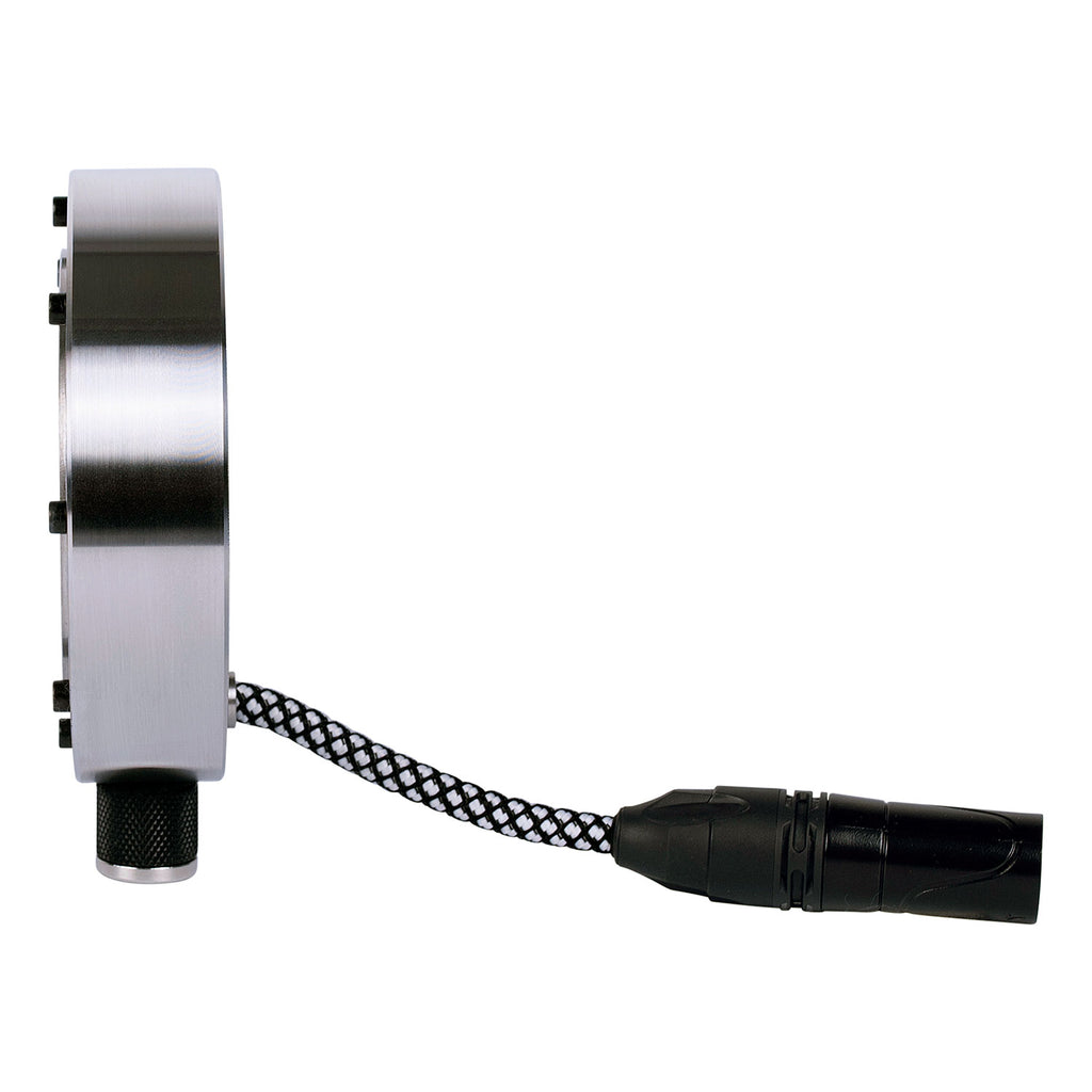 Tierra Audio New Twenties Condenser Microphone